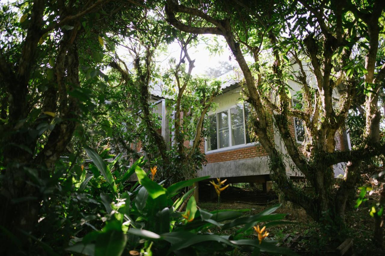 Aum Hum Homestay Fang Exterior photo
