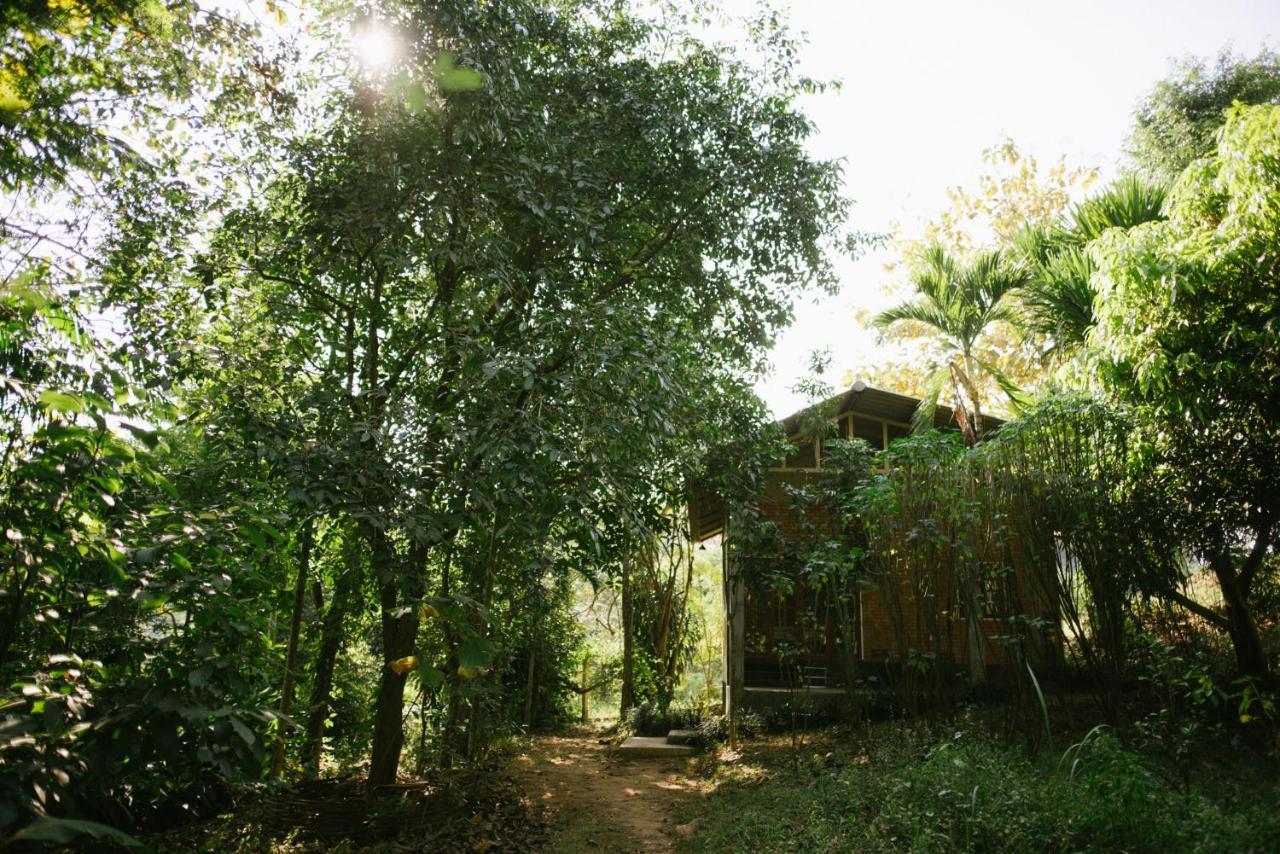 Aum Hum Homestay Fang Exterior photo